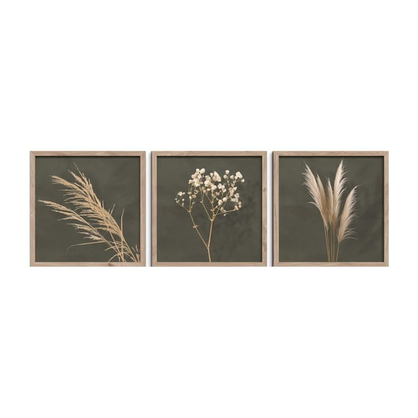 Obrazy v sadě 3 ks 30x30 cm Pampas – Styler
