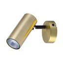 Kovové bodové svítidlo ve zlaté barvě 8x16 cm Colly – Candellux Lighting