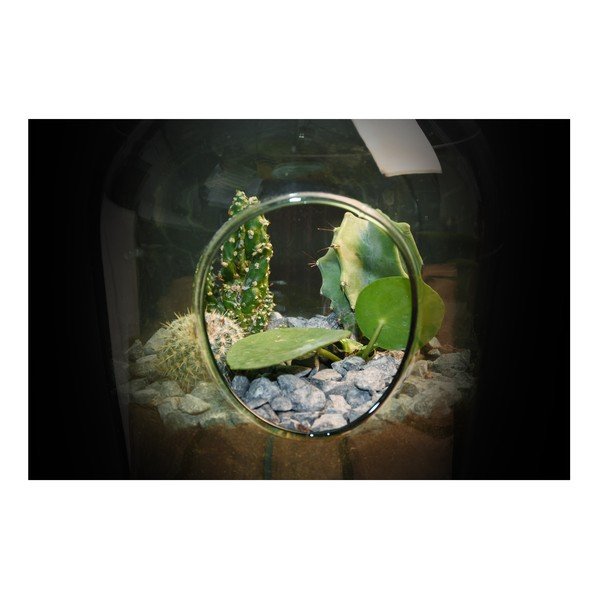 Aerárium oteřené Esschert Design, 3 l-image-1