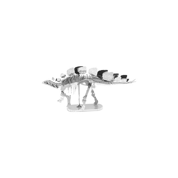 Model Stegosaurus Skeleton