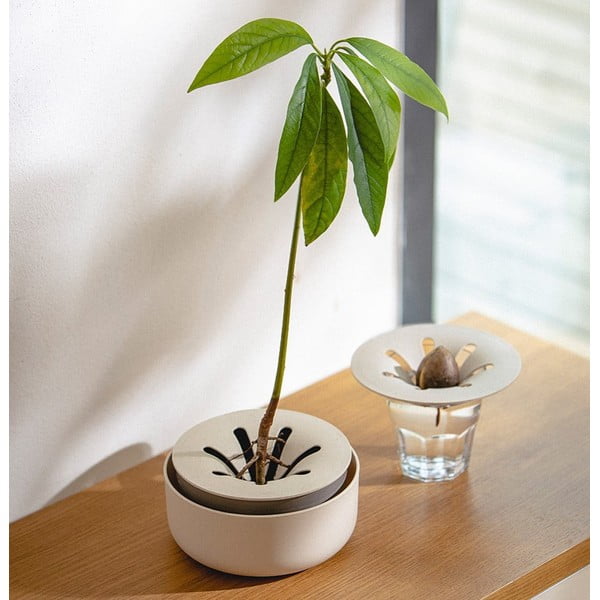 Klíčící miska, ø 16 cm Regrow - Plastia-image-1