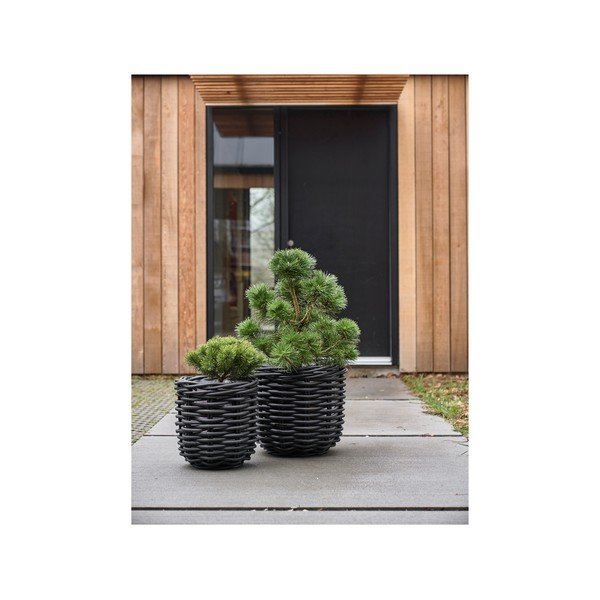 Ratanové květináče v sadě 2 ks ø 52 cm Vilda – Villa Collection-image-3