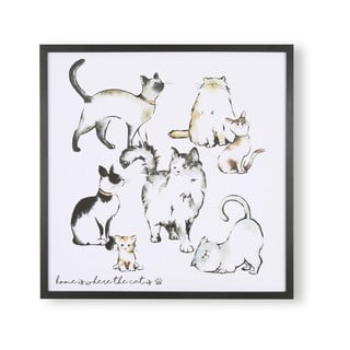 Nástěnný plakát v rámu Art for the home Home Is Where The Cat Is, 50 x 50 cm