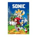 Fleecová dětská deka 100x150 cm Sonic – Jerry Fabrics