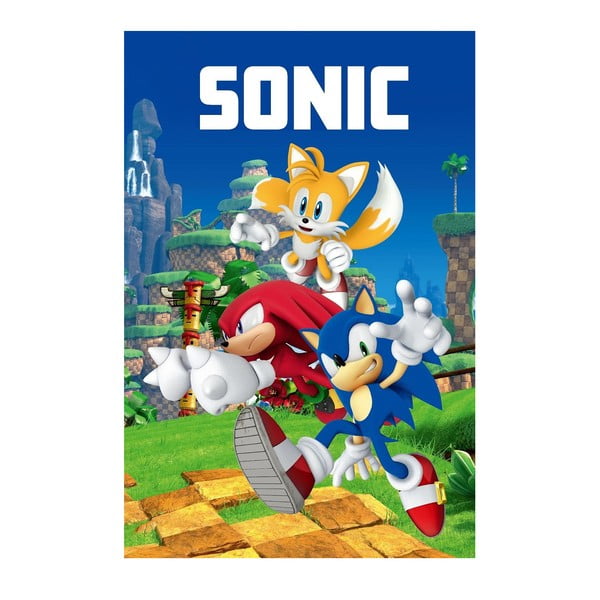 Fleecová dětská deka 100x150 cm Sonic – Jerry Fabrics