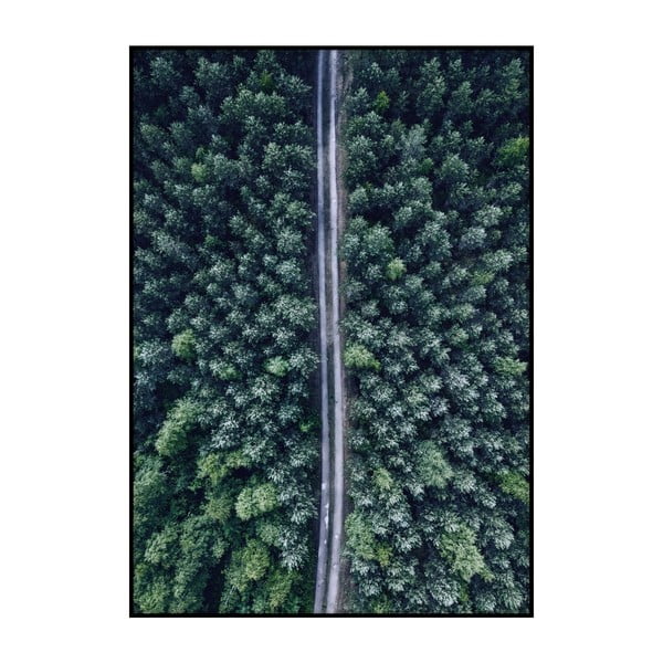 Plakát Imagioo Aerial Forest, 40 x 30 cm