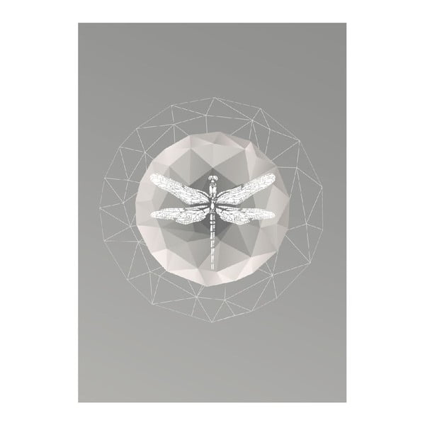 Plakát Dragonfly, A3-image-1