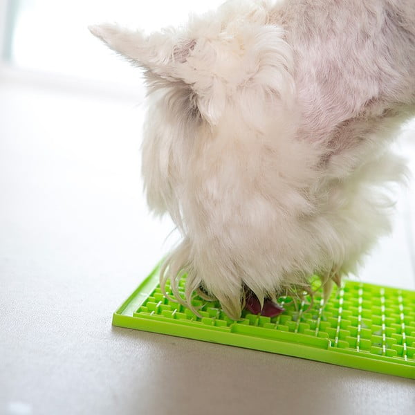 Lízací podložka Buddy Green – LickiMat-image-3