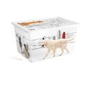 Bílý plastový úložný box s víkem 55x39x31 cm C Box Style – KIS