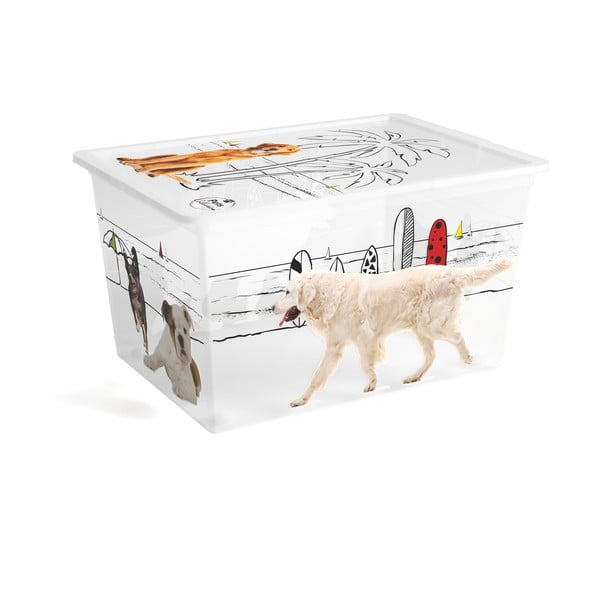 Bílý plastový úložný box s víkem 55x39x31 cm C Box Style – KIS
