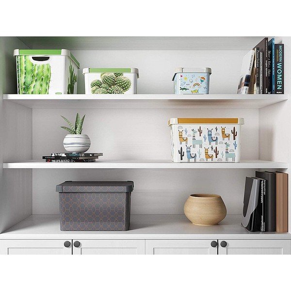 Tmavě šedý úložný box s víkem Curver Art Deco, 22 l-image-1