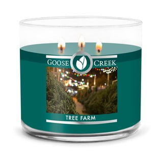 Vonná svíčka Goose Creek Tree Farm, doba hoření 35 h