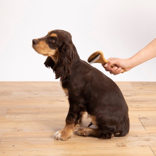 Kartáč pro domácího mazlíčka – Love Story-image-1