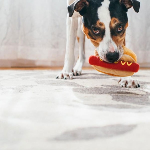 Hračka pro psa Hot Dog – P.L.A.Y.-image-3