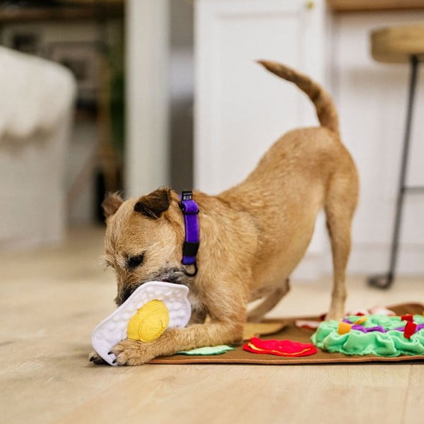 Čmuchací dečka Brunch – P.L.A.Y.-image-1