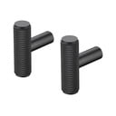 Černé nástěnné kovové háčky v sadě 2 ks Rof – Blomus