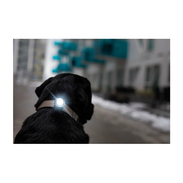 LED světlo na obojek Dark – Orbiloc-image-4