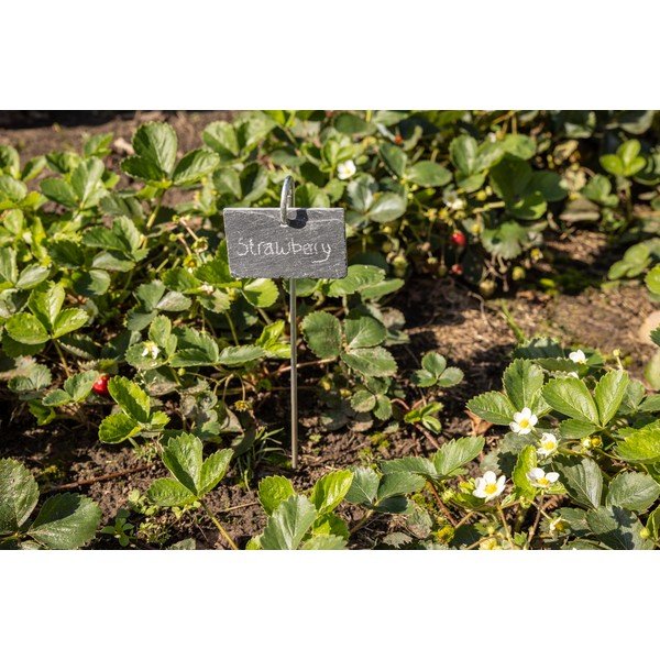 Břidlicová tabulka na tyčce Esschert Design-image-3