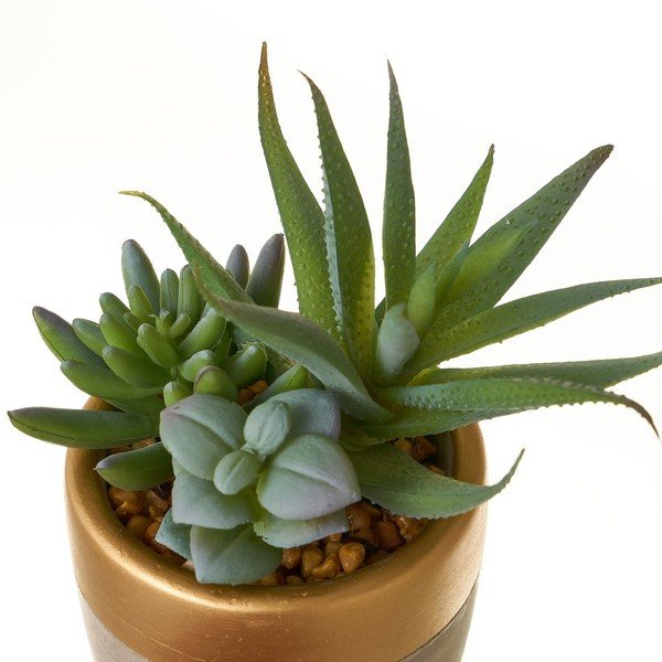 Umělé rostliny v sadě 4 ks (výška 17 cm) Cactus – Casa Selección-image-3