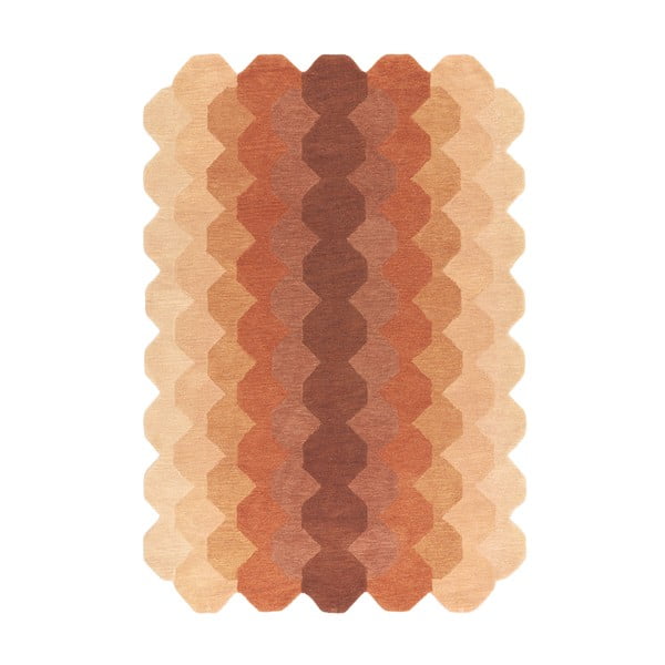 Vlněný koberec v cihlové barvě 200x290 cm Hive – Asiatic Carpets