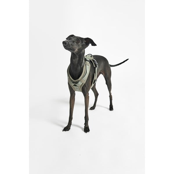 Zelený postroj velikost L délka 42 cm Modena Grolive L – MiaCara-image-4