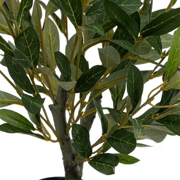 Umělý olivovník – Casa Selección-image-1
