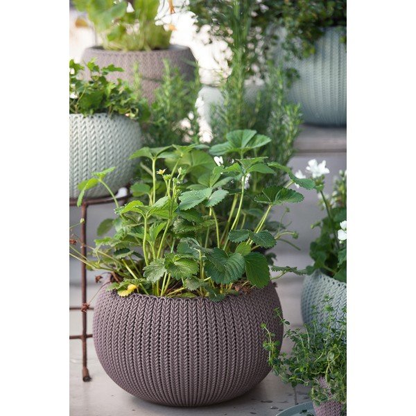 Plastový závěsný květináč ø 36 cm Cozy – Keter-image-1