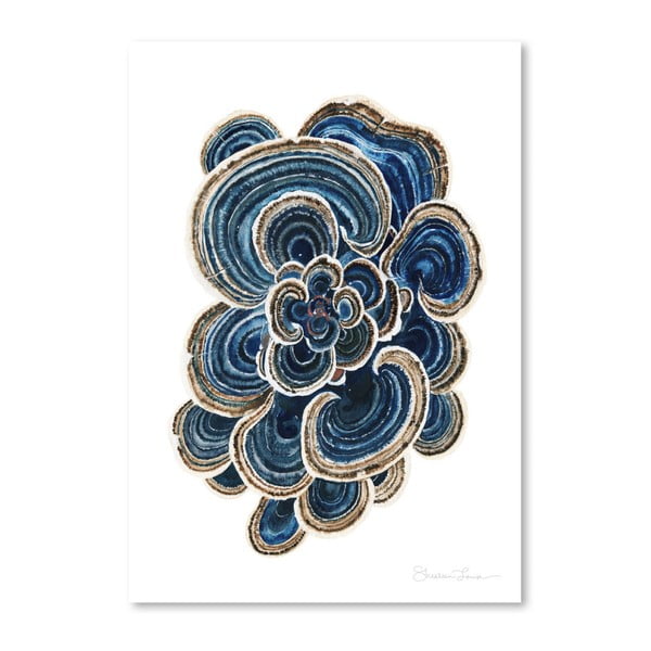 Plakát Americanflat Blue Trametes Mushroom by Shealeen Louise, 30 x 42 cm