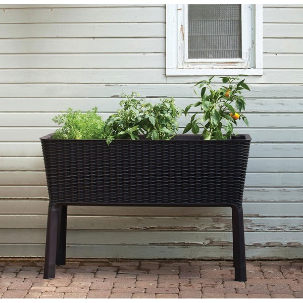 Truhlík Easy Grow – Keter-image-1