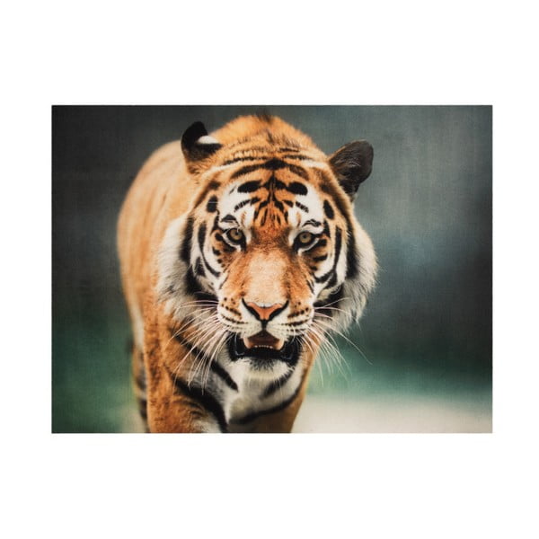 Koberec Hanse Home Tiger, 190 x 140 cm