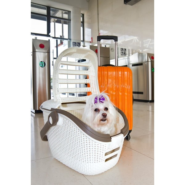 Bílý přepravní box pro zvířata Curver Vintage-image-1