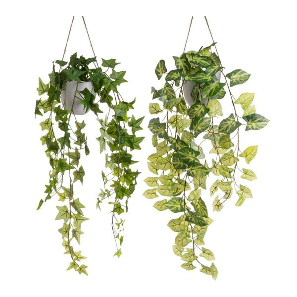 Umělé rostliny v sadě 2 ks (výška 55 cm) – Casa Selección