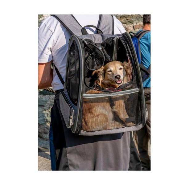 Přepravní taška pro domácího mazlíčka 27x33 cm – Love Story-image-1