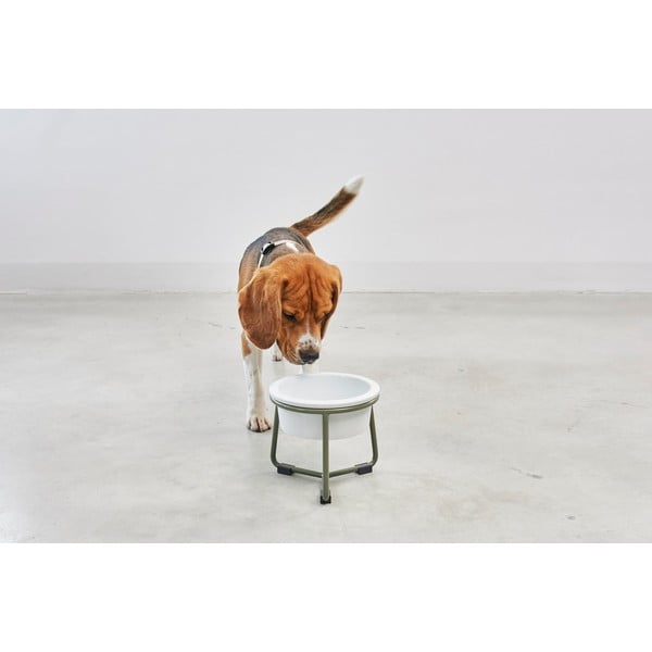 Porcelánová miska s podstavcem pro psa ø 20 cm Pranzo Grolive M – MiaCara-image-2