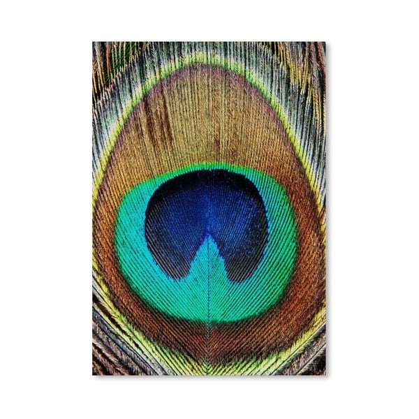 Plakát Peacock Feather