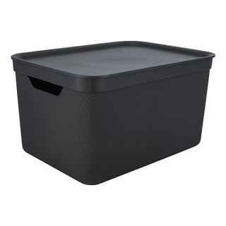 Plastový úložný box s víkem Deco  - Rotho