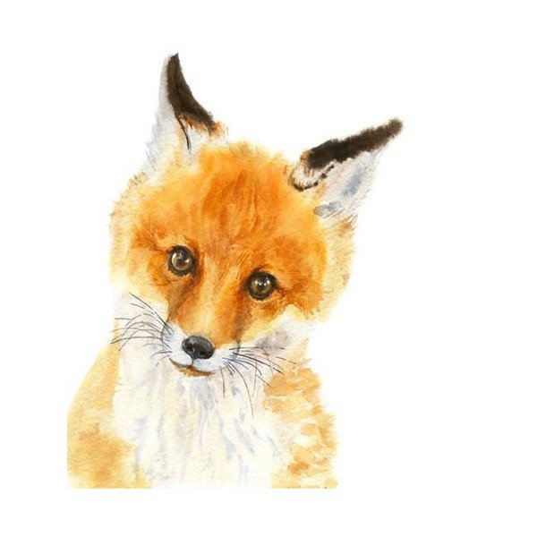 Plakát Chocovenyl Wee Fox, A4-image-2