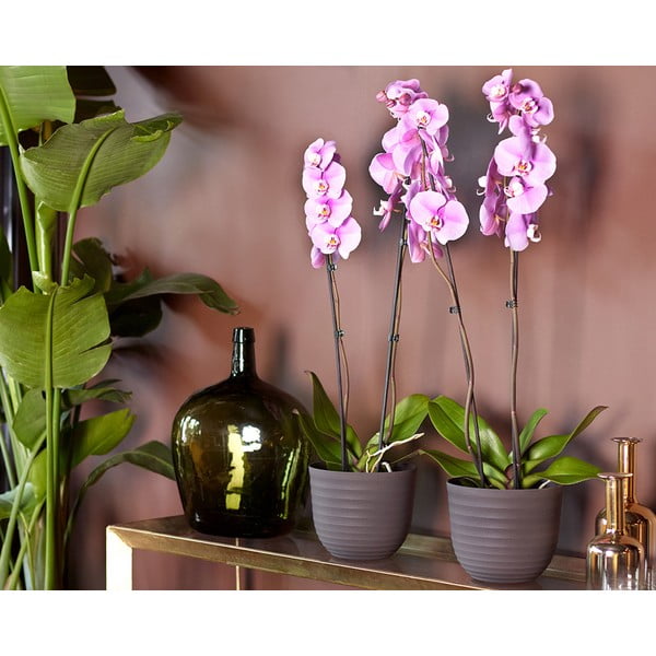 Květináč z recyklovaného plastu ø 20 cm Havana – Artevasi-image-2