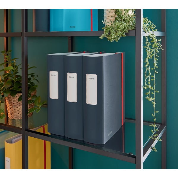 Šedý pákový pořadač Leitz Cosy, A4-image-3