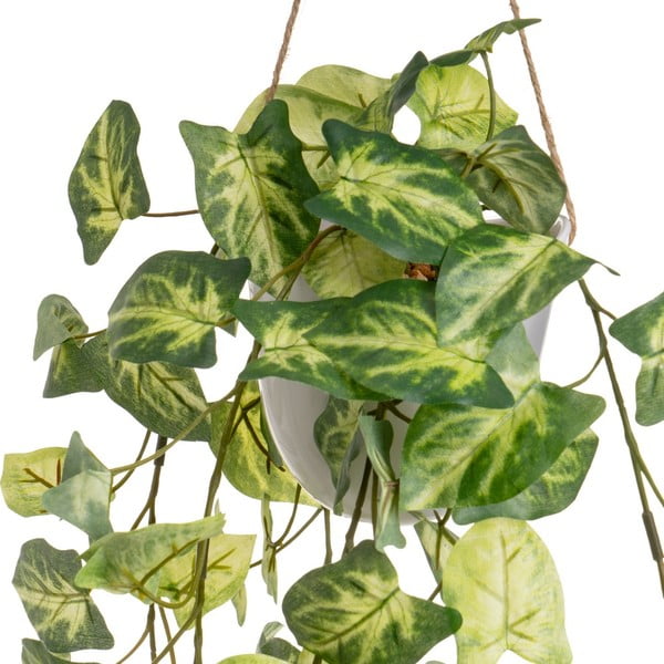 Umělé rostliny v sadě 2 ks (výška 55 cm) – Casa Selección-image-3