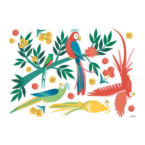 Arch samolepek 90x64 cm Parrots – Lilipinso