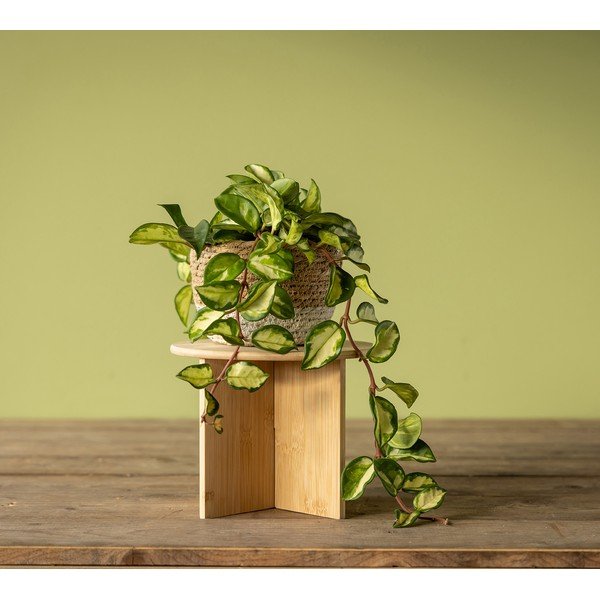 Bambusový stojan na květiny ø 25 cm (výška 19,5 cm) – Esschert Design-image-1