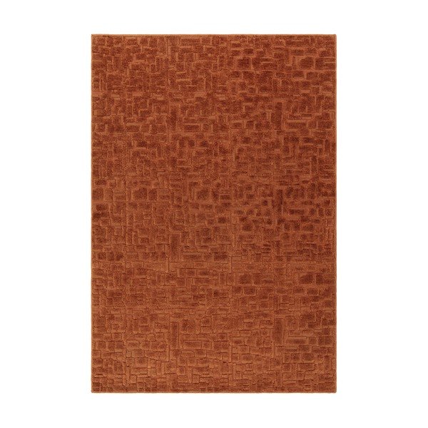 Koberec v terakotové barvě 200x290 cm – Asiatic Carpets