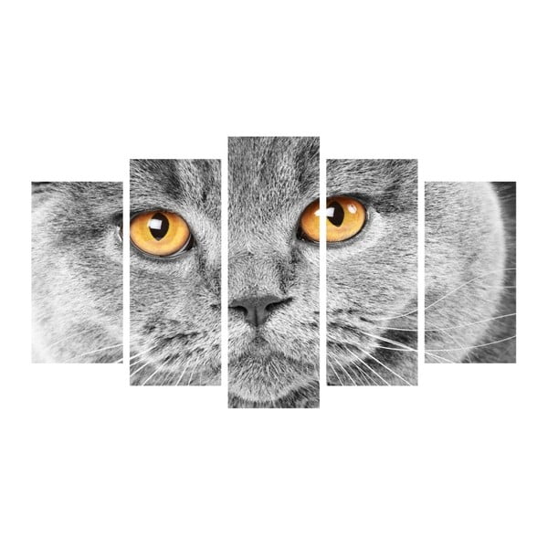 Vícedílný obraz Insigne Cat Eyes, 102 x 60 cm