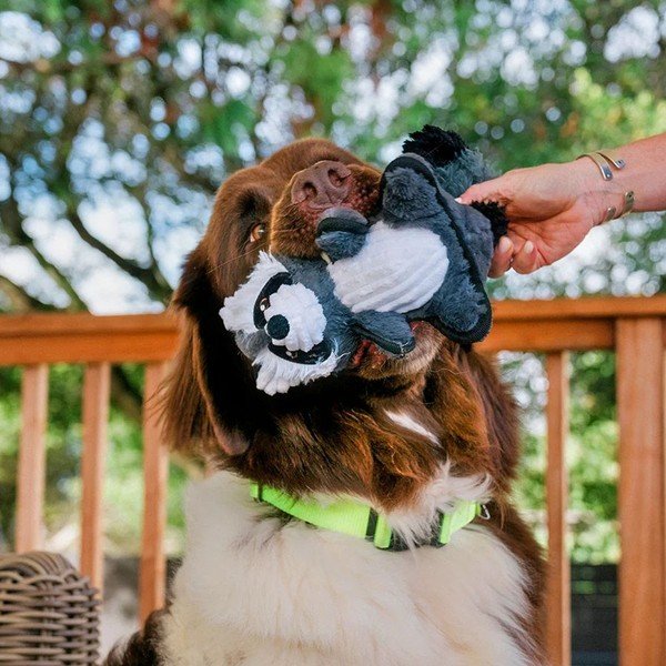 Hračka pro psa Mýval – P.L.A.Y.-image-1