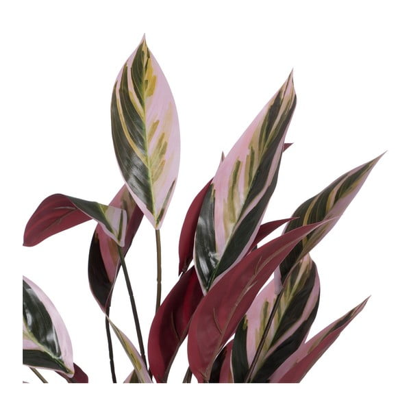 Umělá rostlina (výška 55 cm) Bird of Paradise – Ixia-image-1