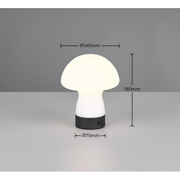 Matně bílá LED stolní lampa se skleněným stínidlem (výška 18 cm) Dooley – Reality-image-4
