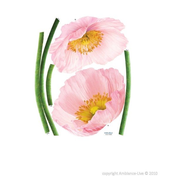 Samolepka Pink Poppy Flowers-image-1