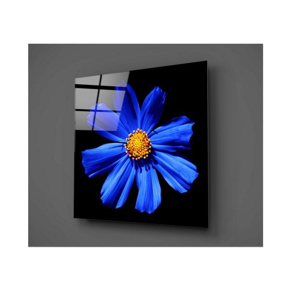 Černo-modrý skleněný obraz Insigne Flowerina, 30 x 30 cm