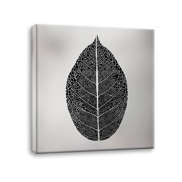 Obraz na plátně Styler Silver Leaf, 60 x 60 cm-image-2